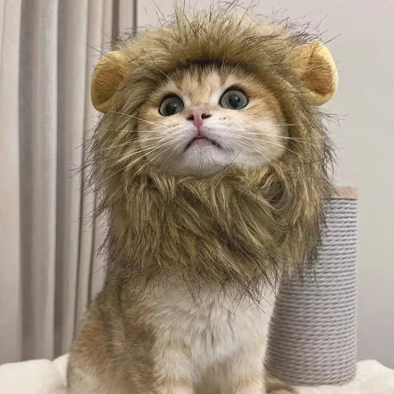 New Cute Funny Pets Clothes Cap Cute Cat Wig Lion Mane Costume Cosplay Kitten Dog Hat with Ears Fancy Party Supplies